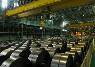 中國寶武技術(shù)創(chuàng)新服務(wù)取得突破性進(jìn)展，引領(lǐng)鋼鐵行業(yè)數(shù)字化轉(zhuǎn)型